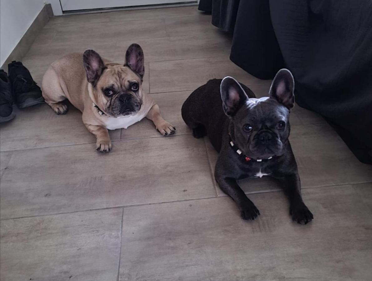 Bungalow Matilda - Hunde sind Willkommen Lauchhammer Exterior foto